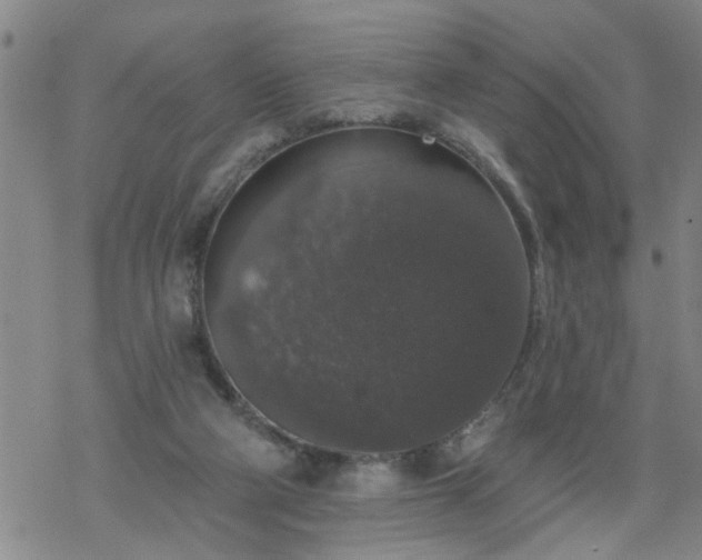 X0000069380114200605192159