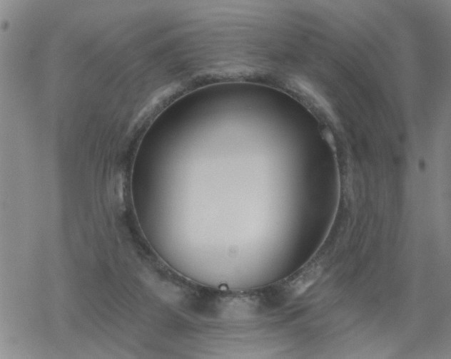 X0000069380115200605192159