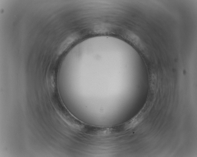 X0000069380116200605192159