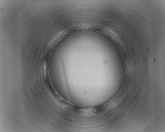 X0000069380118200605192158