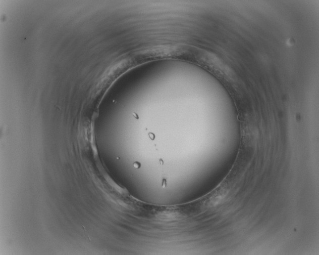 X0000069380119200605192158