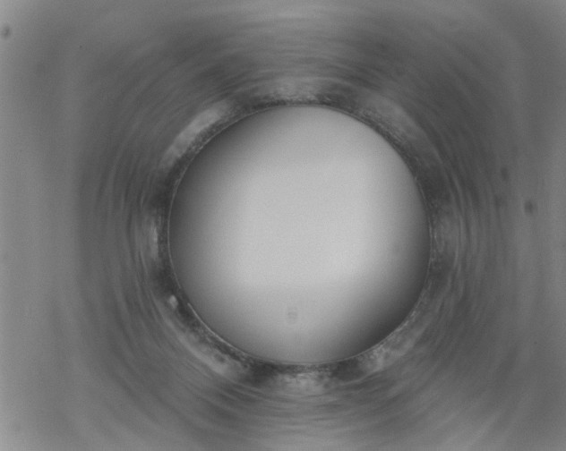 X0000069380120200605192158