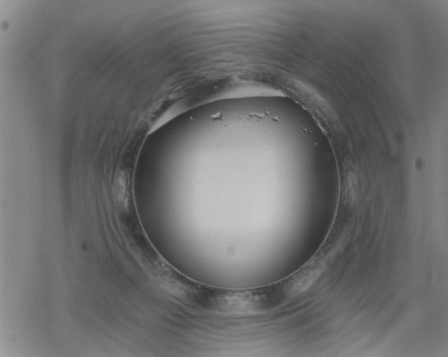 X0000069380121200605192158