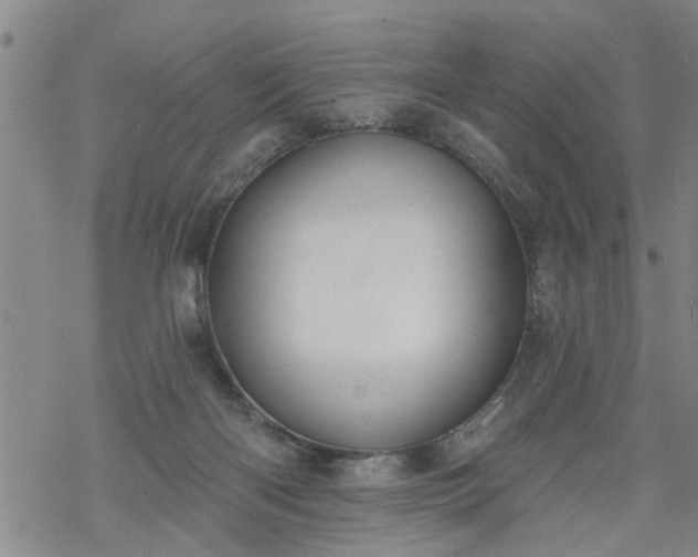 X0000069380122200605192158