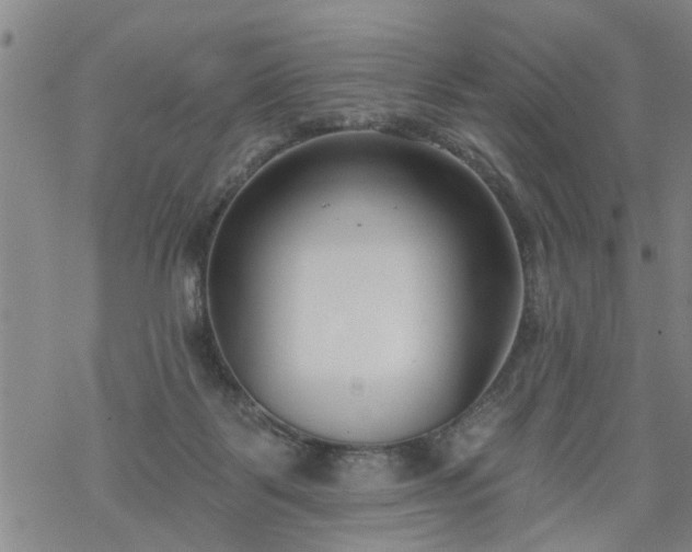 X0000069380123200605192158