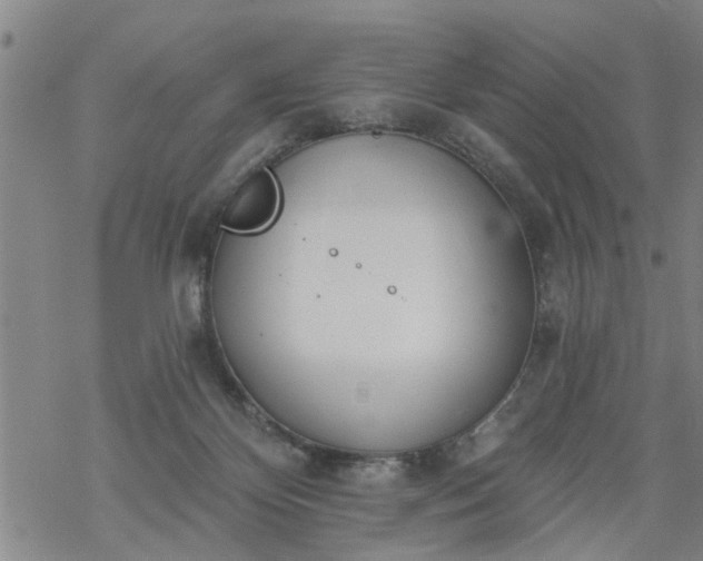 X0000069380124200605192158