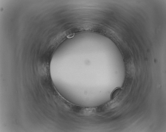 X0000069380126200605192158