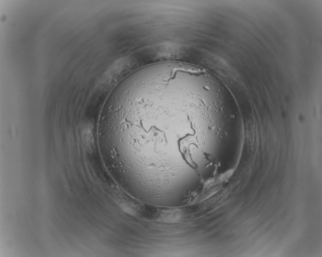 X0000069380127200605192158