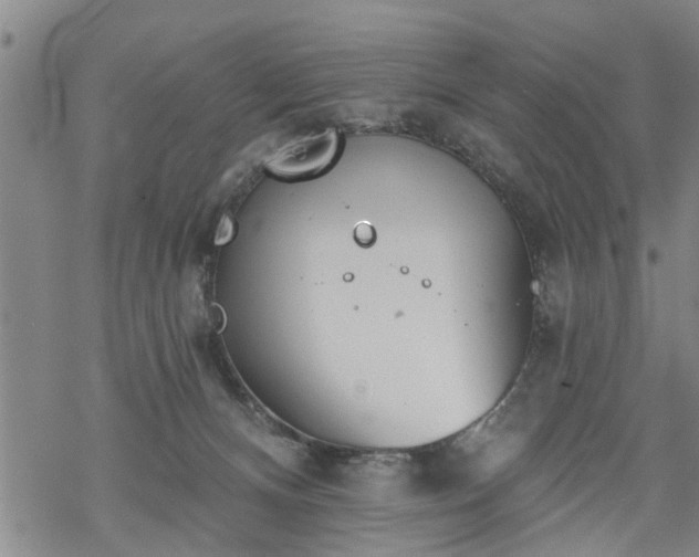 X0000069380128200605192158