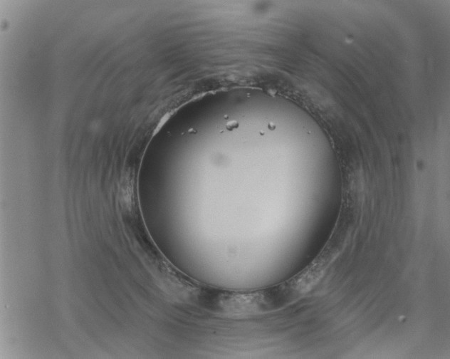 X0000069380129200605192158