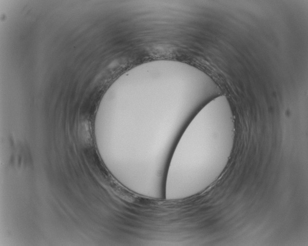 X0000069380130200605192158