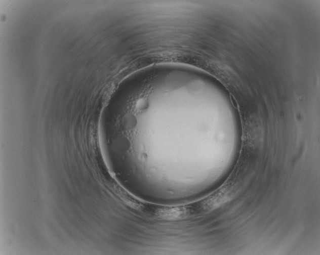 X0000069380131200605192158