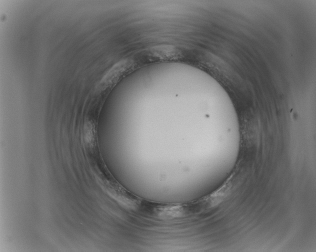 X0000069380132200605192158