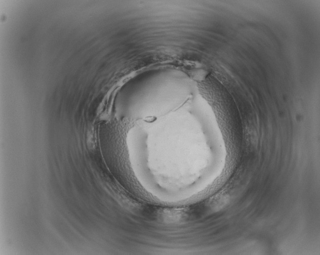 X0000069380134200605192158