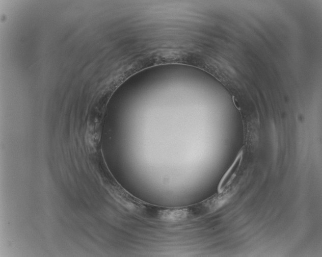 X0000069380135200605192158