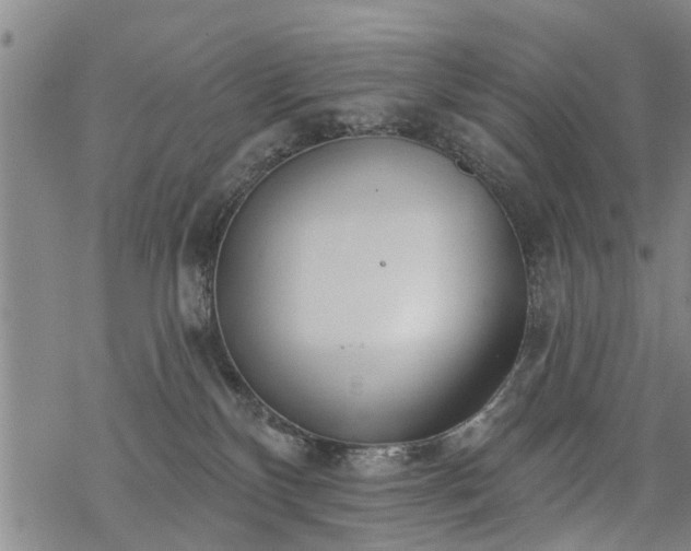 X0000069380136200605192158