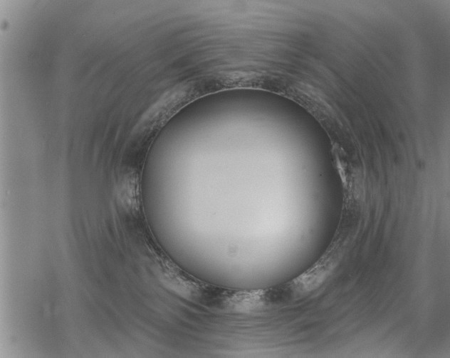 X0000069380138200605192158