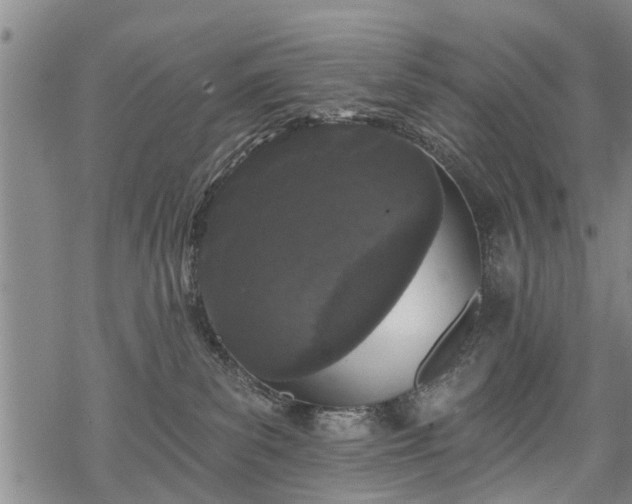 X0000069380139200605192158