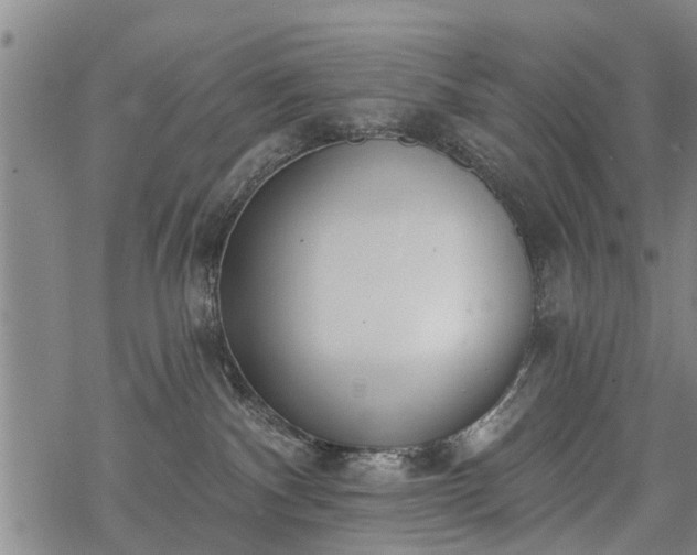 X0000069380140200605192158