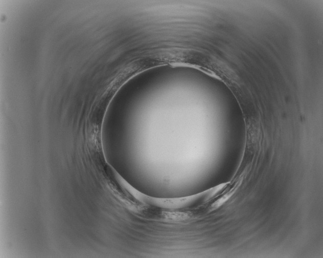 X0000069380141200605192158