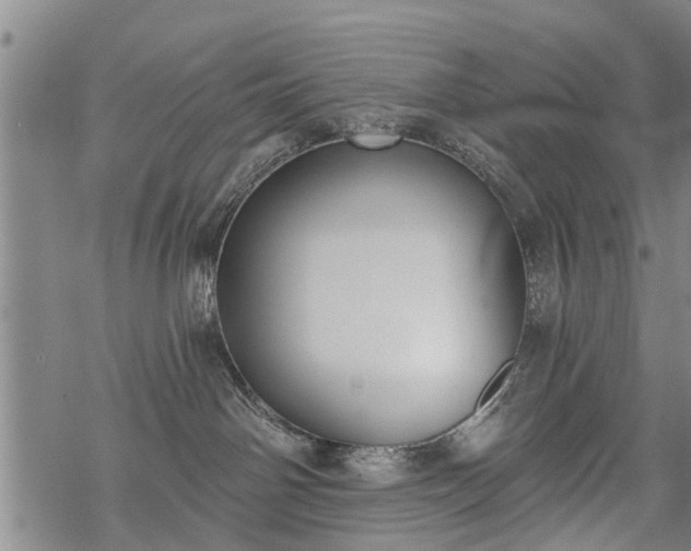 X0000069380142200605192158