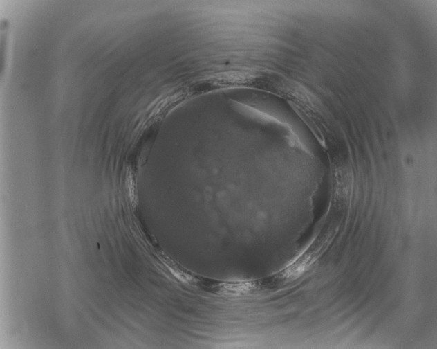 X0000069380143200605192158