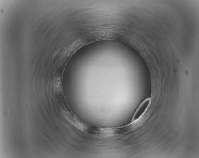 X0000069380144200605192158