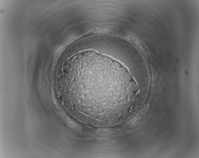 X0000069380145200605192157