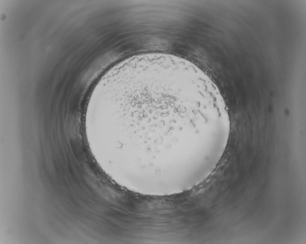 X0000069380146200605192157