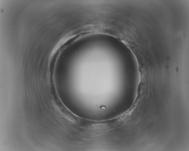 X0000069380150200605192157