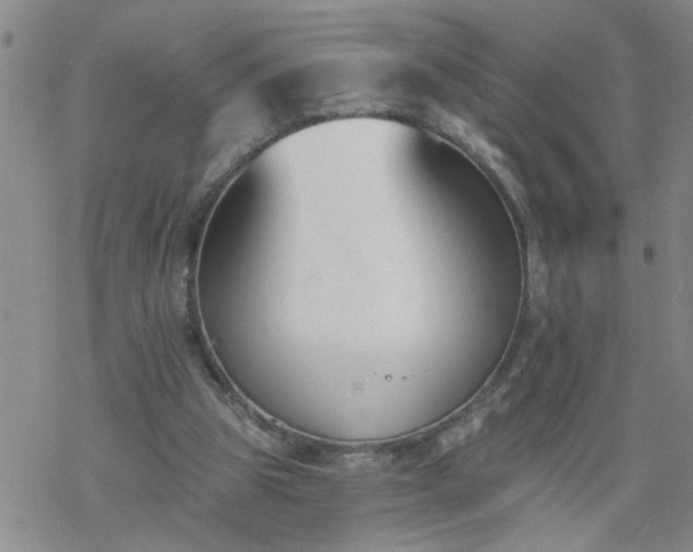 X0000069380153200605192157