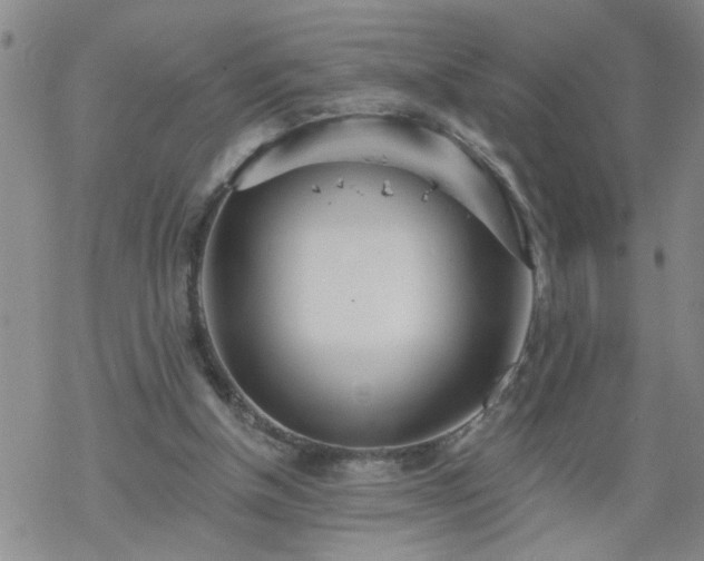 X0000069380154200605192157