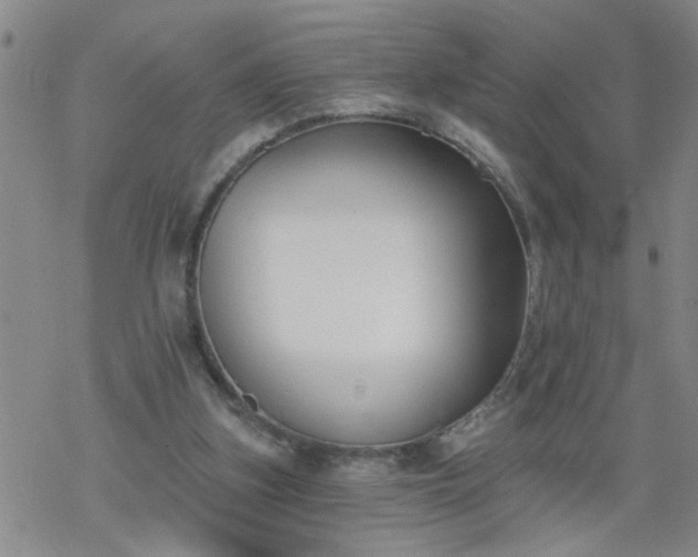 X0000069380155200605192157