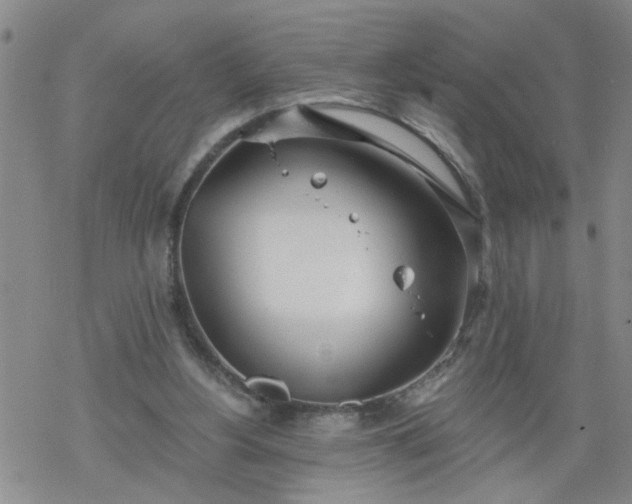 X0000069380156200605192157