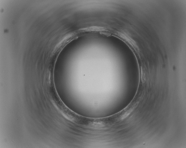 X0000069380157200605192157