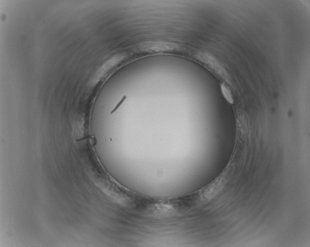 X0000069380159200605192158