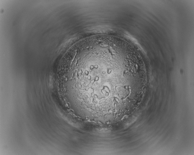 X0000069380161200605192158