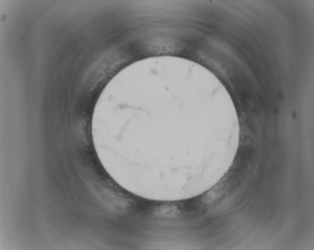 X0000069380162200605192158