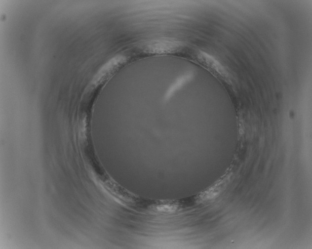 X0000069380163200605192158