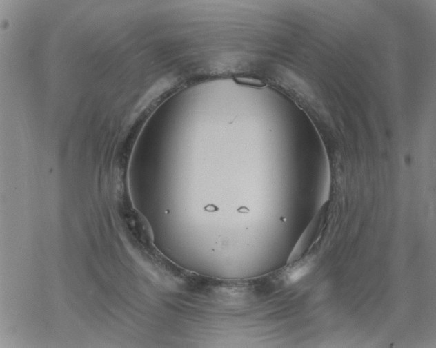 X0000069380164200605192158