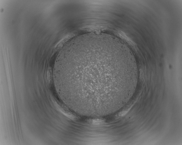 X0000069380165200605192158