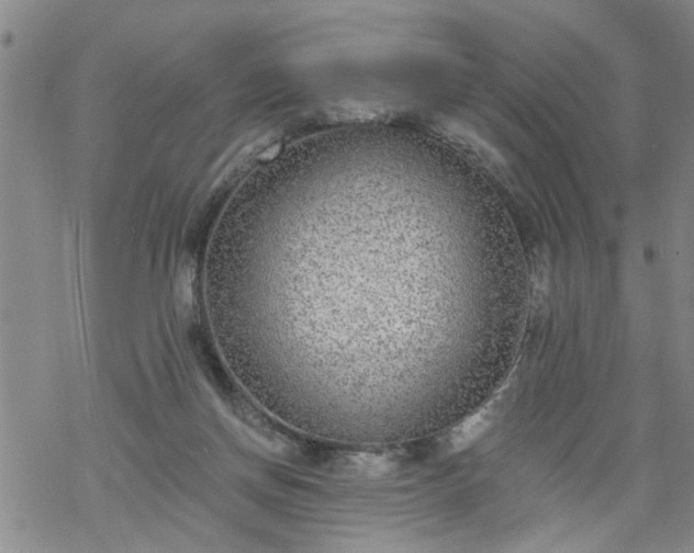 X0000069380166200605192158