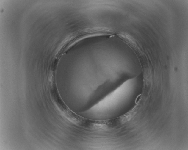 X0000069380167200605192158