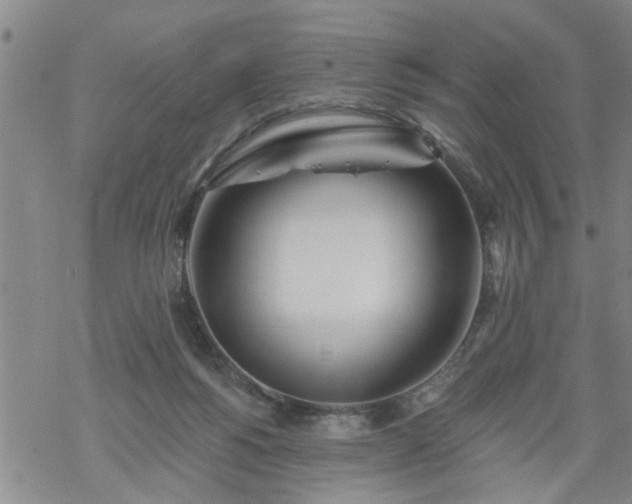 X0000069380168200605192158