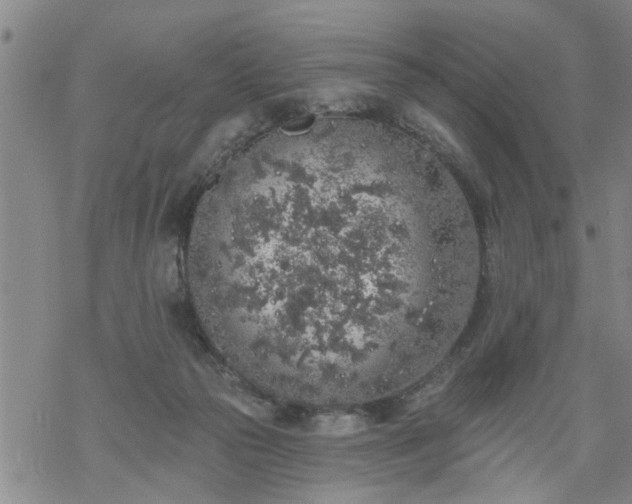 X0000069380169200605192158