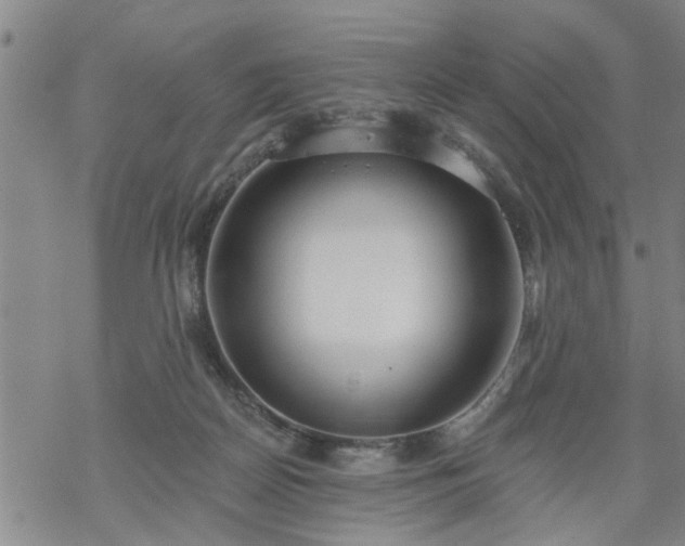 X0000069380170200605192158