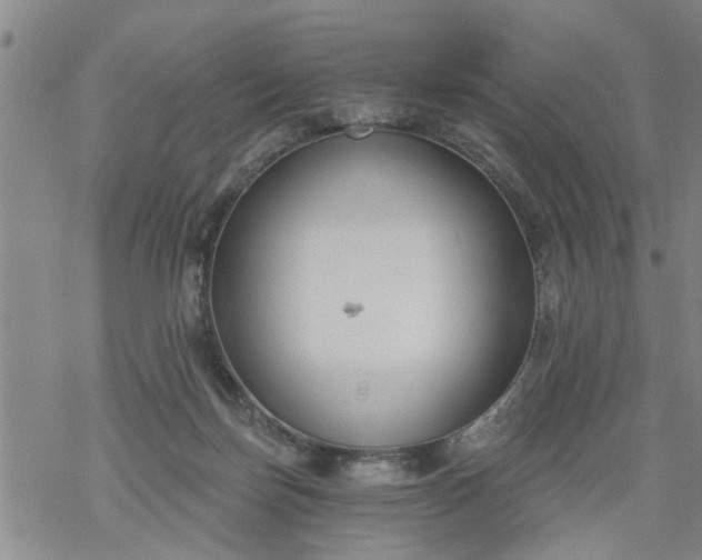 X0000069380171200605192158