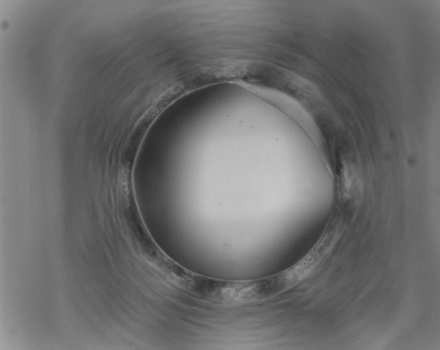 X0000069380172200605192158