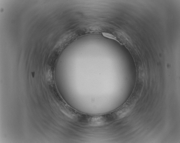 X0000069380173200605192158