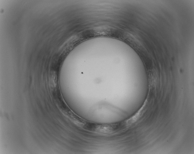 X0000069380174200605192158